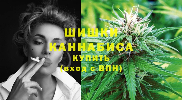ECSTASY Михайлов