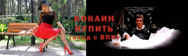ECSTASY Михайлов