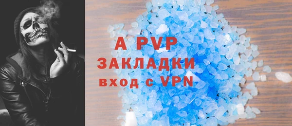 ECSTASY Михайлов