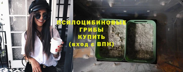 соль ск Михайловск