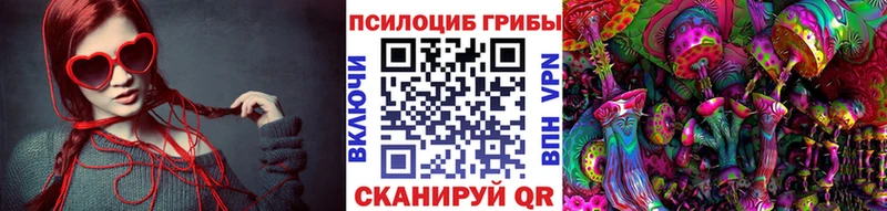 Купить где  Наволоки  Псилоцибиновые грибы Psilocybine cubensis 