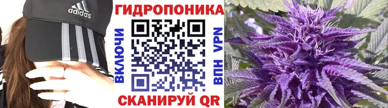 Шишки марихуана сатива  Купить где  Наволоки 